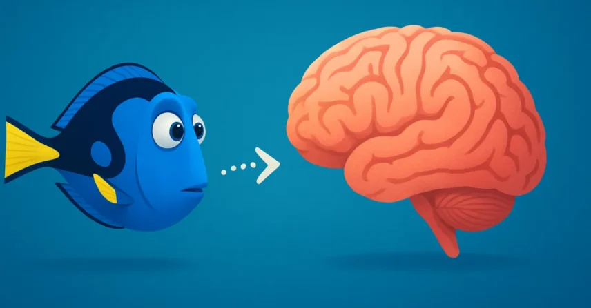 Procurando Dory: A Busca por Memória e Família Após Nemo!