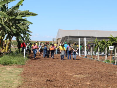 Emater-DF apresenta circuito de fruticultura na AgroBrasília 2026